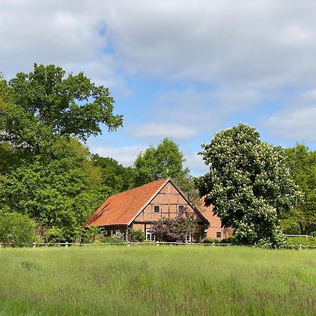 Ferienhaeuser Weitblick Gilten Экстерьер фото