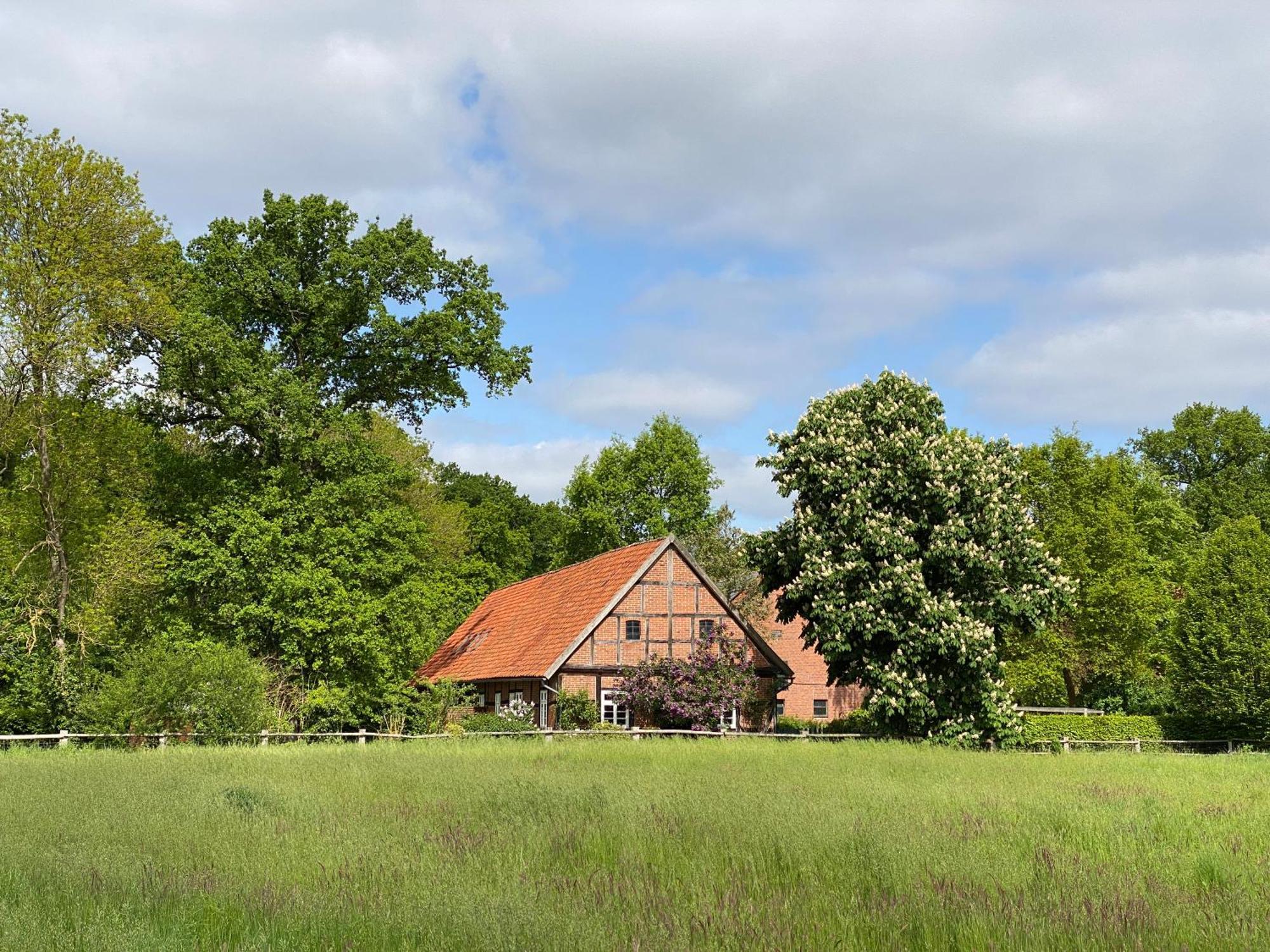 Ferienhaeuser Weitblick Gilten Экстерьер фото